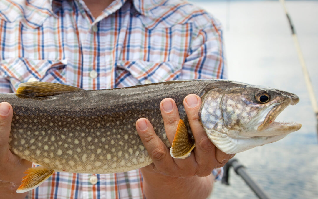 Fisherman’s Wharf – A frozen fish worthy of your wall