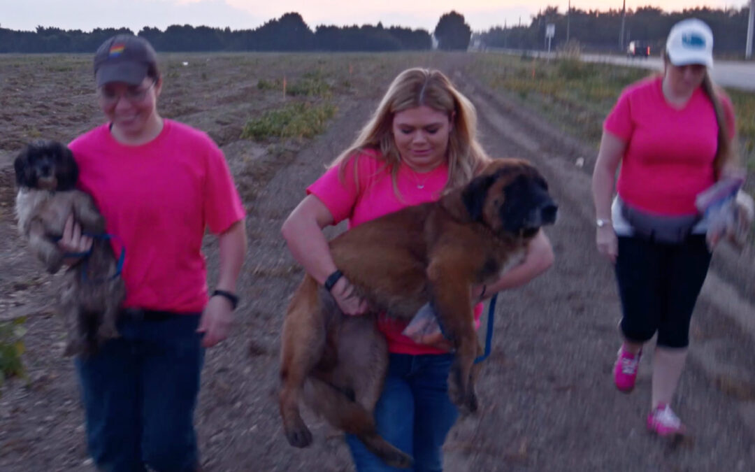 POODLE AND POOCH RESCUE – WE’RE GONNA LIGHT UP YOUR LIFE